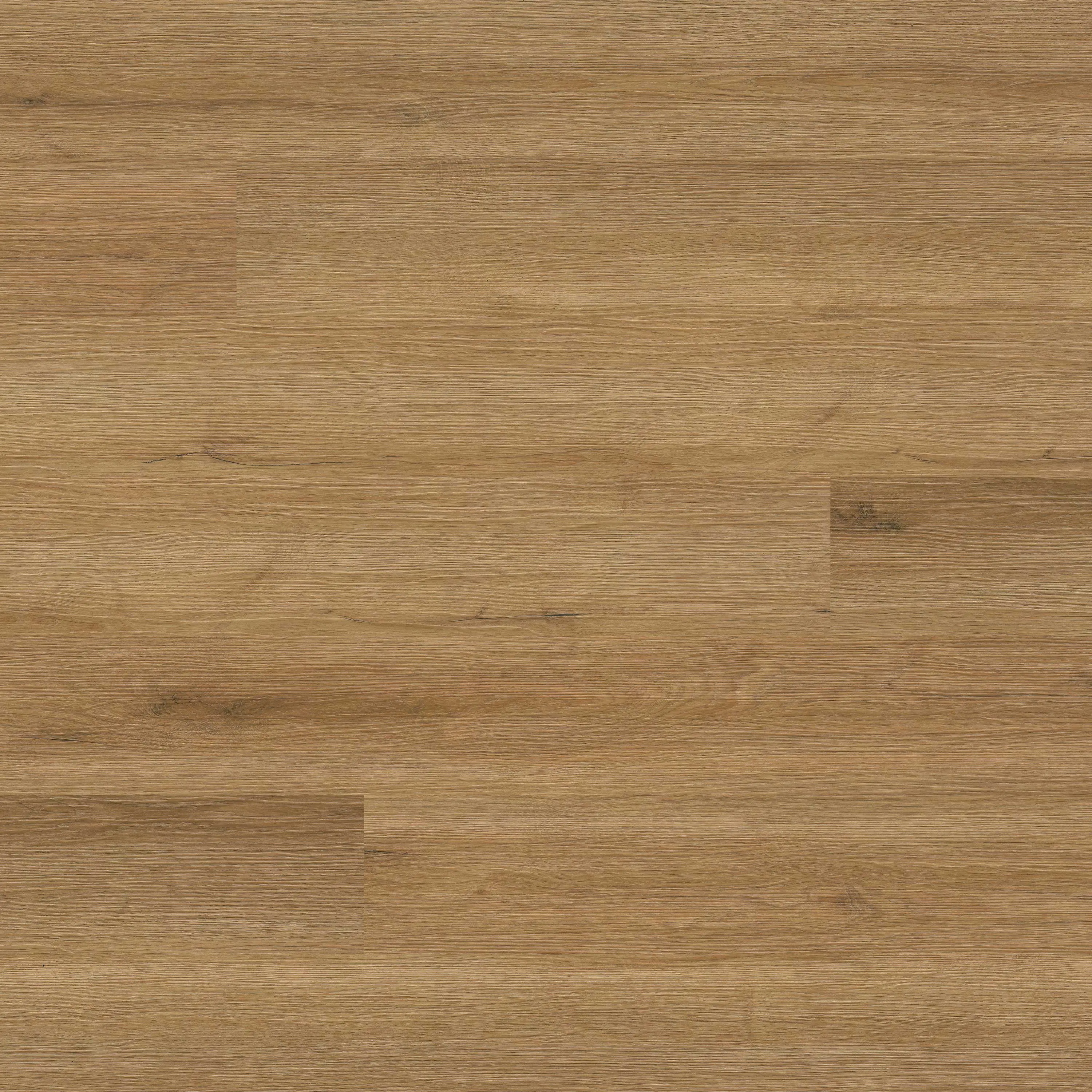 Cyrus 2.0TM Amber Forrester® Luxury Vinyl Plank