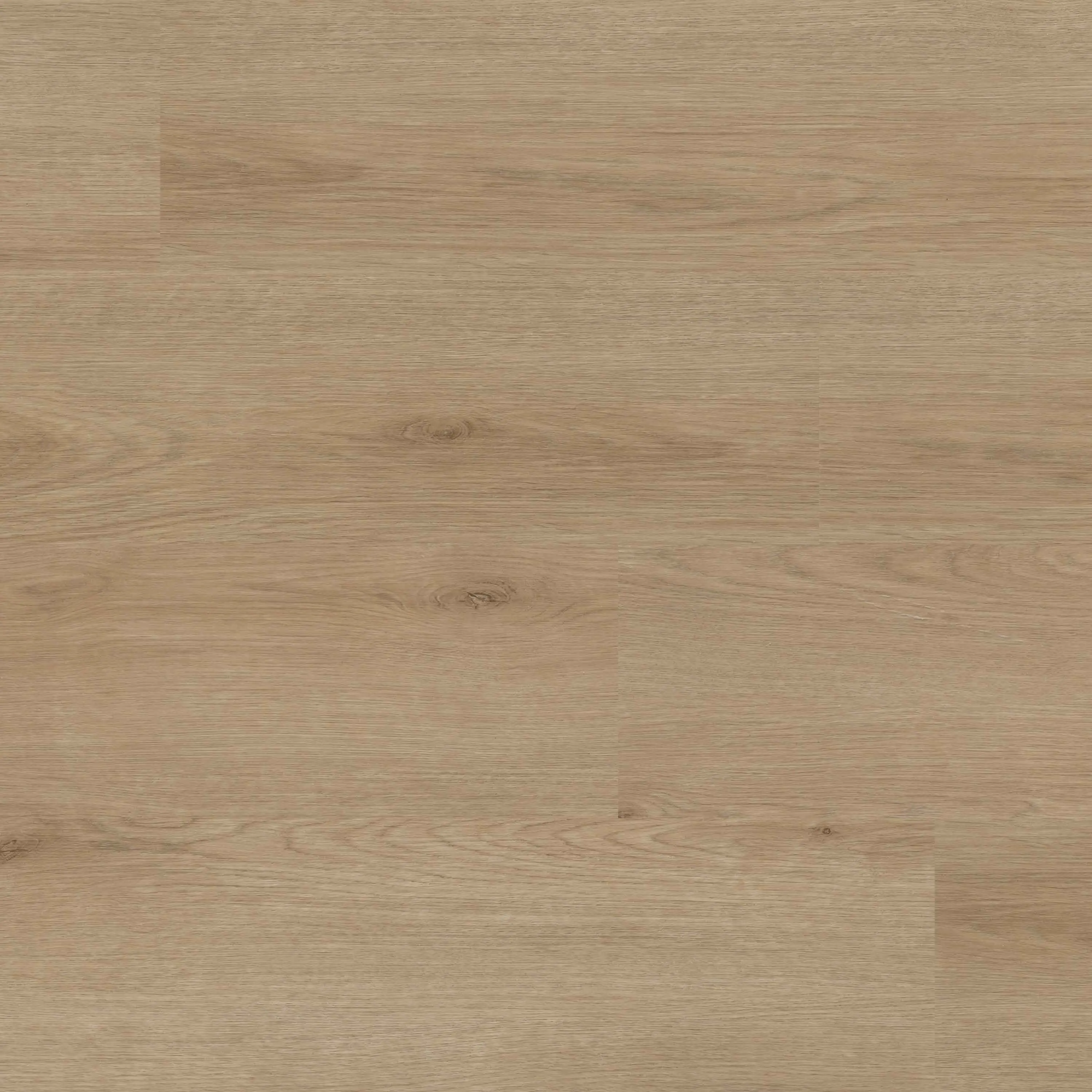 XL StudioTM XL Studio Bozeman Luxury Vinyl Planks