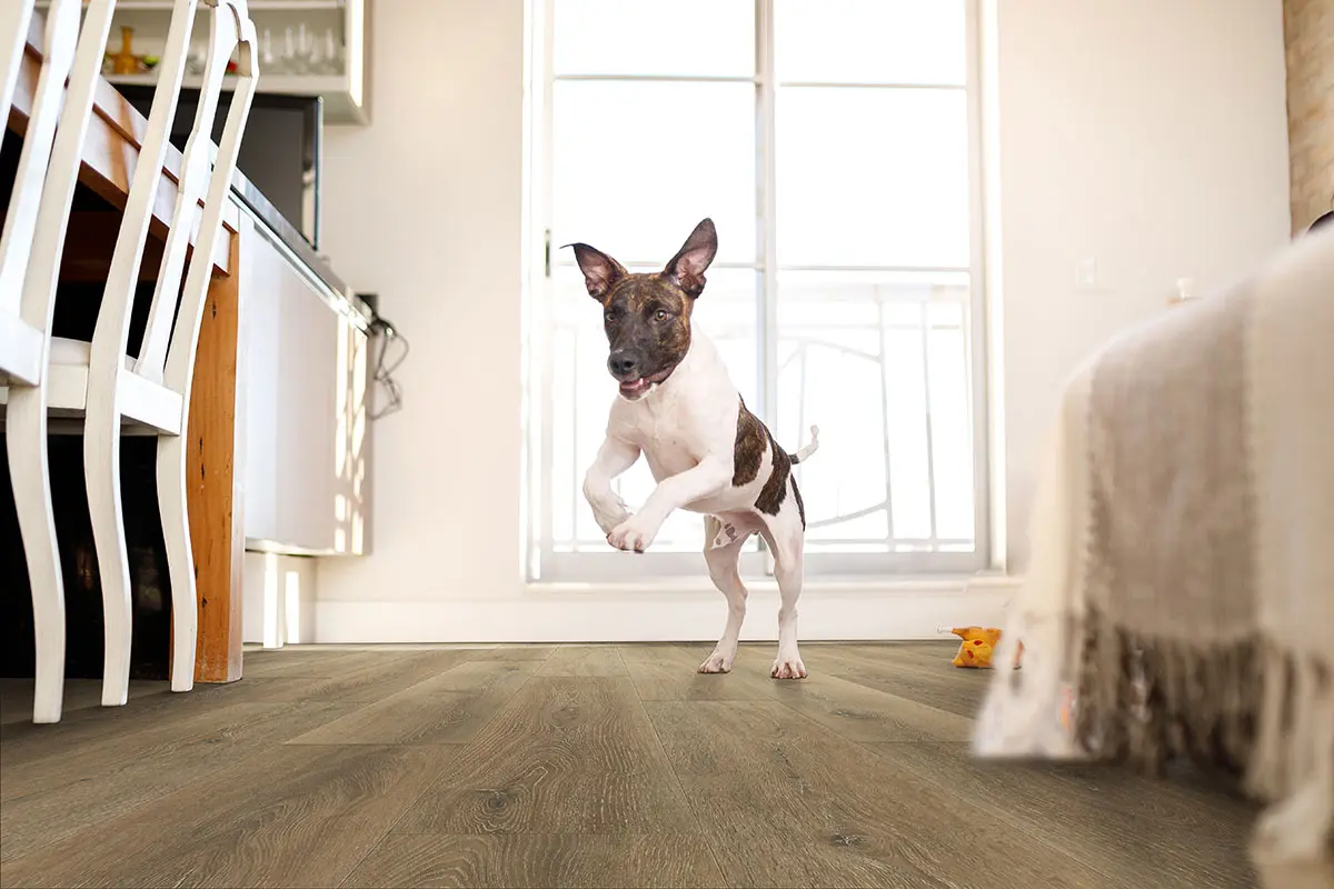 Smithcliffs Delray™ Hybrid Rigid Core Flooring