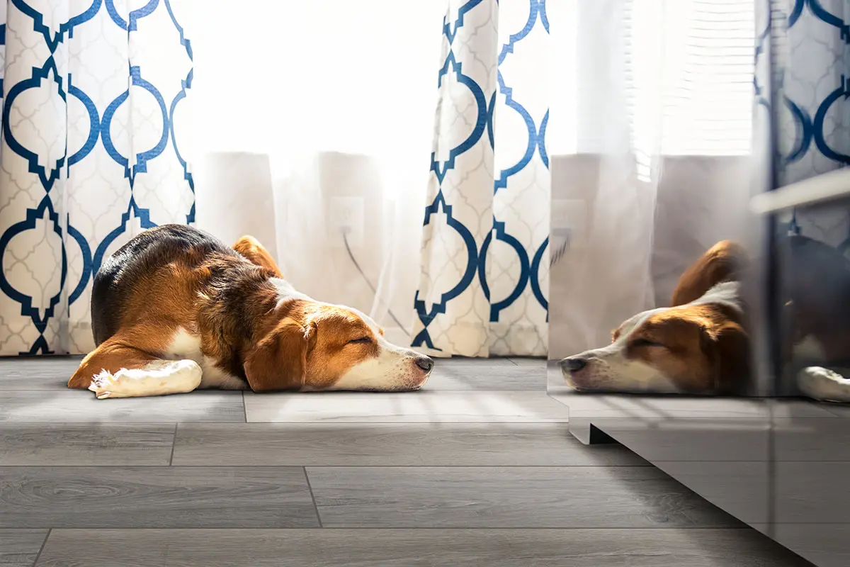 Smithcliffs Malton® Hybrid Rigid Core Flooring